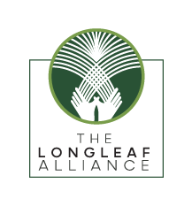 The Longleaf Alliance